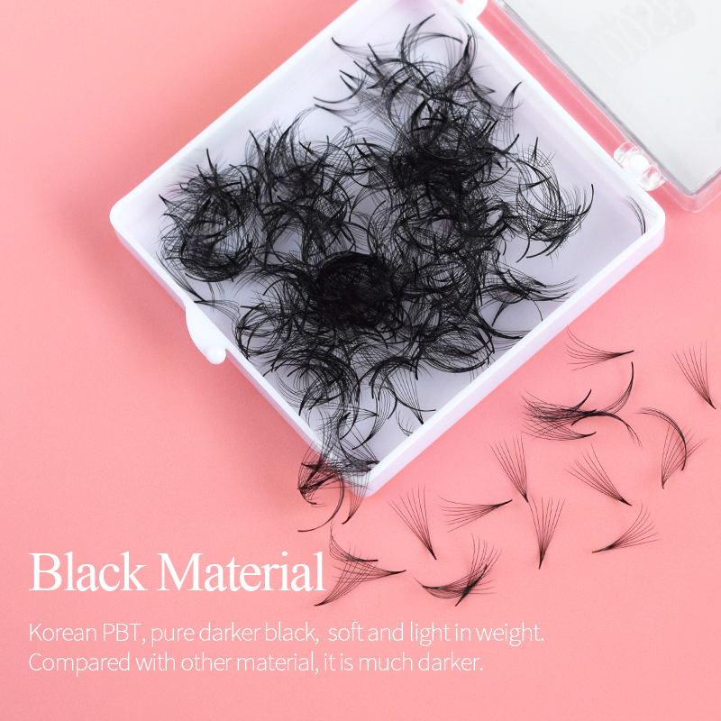 Song Lashes プロメイドファン 3D-10D07  - Eyelash Extension Course のレビューと価格