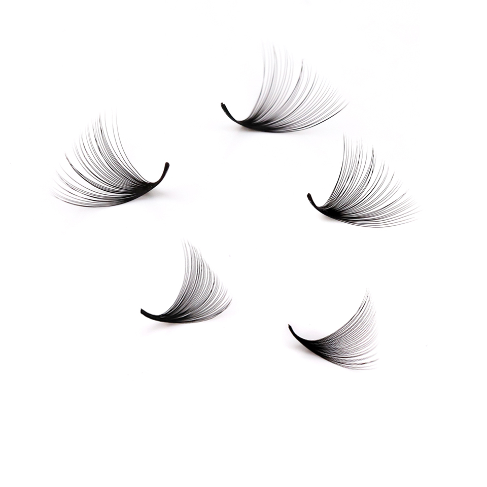 ラッシュプロフェッサーXLトレイ 3D 4D 5D 6D 7 - Eyelash Extension Remover At Home のレビューと価格