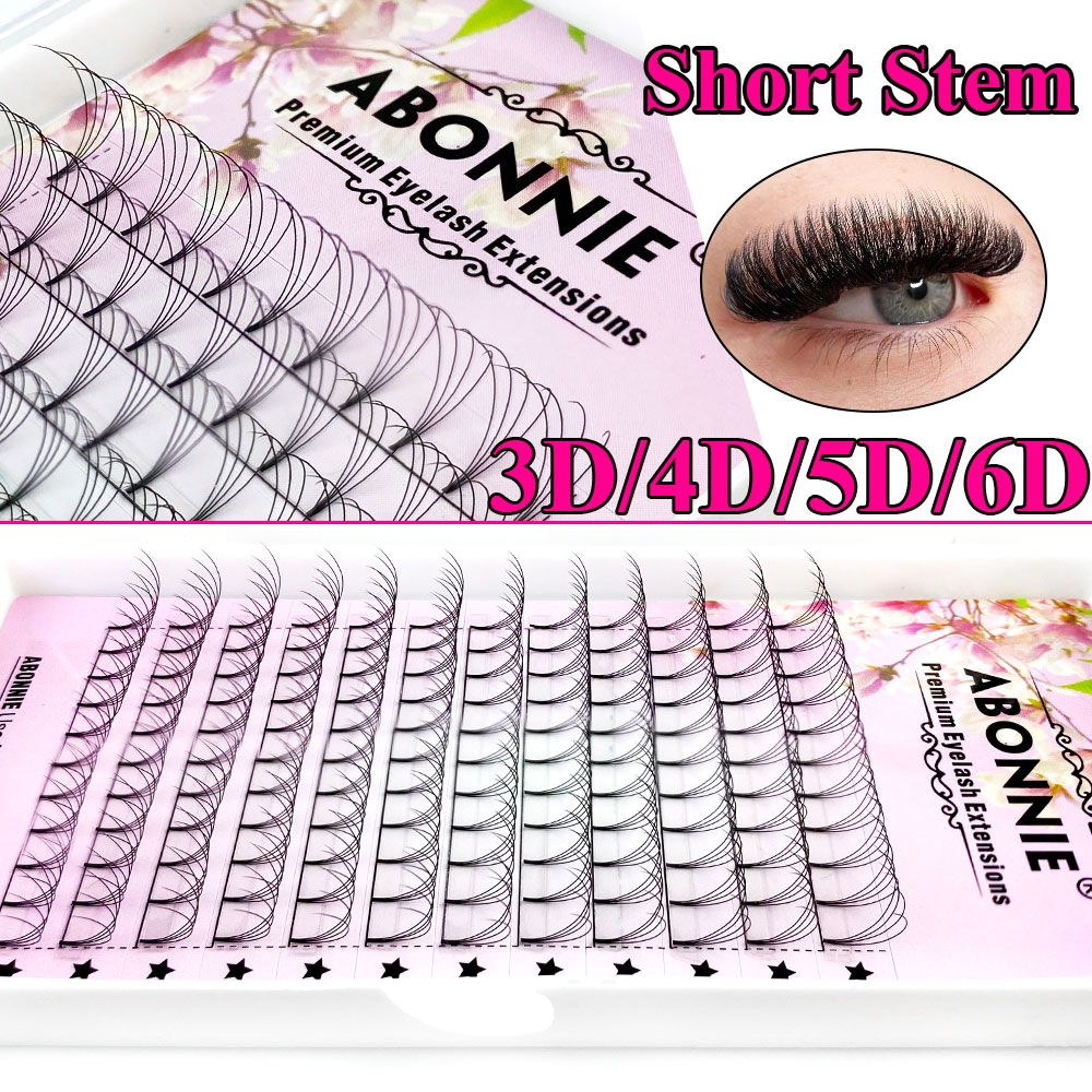 アボニー6Dナローファンプレメイドファン ロシアンボリューム - Eyelash Extension Course のレビューと価格