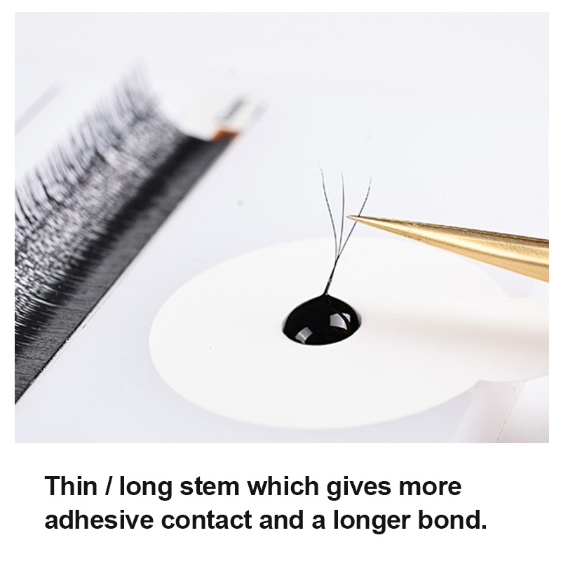 LAGEE 3D 4D 5D 6D W シェイプまつげエクス - Eyelash Extension Course のレビューと価格